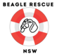 BEAGLERESCUENSW