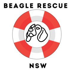 BEAGLERESCUENSW